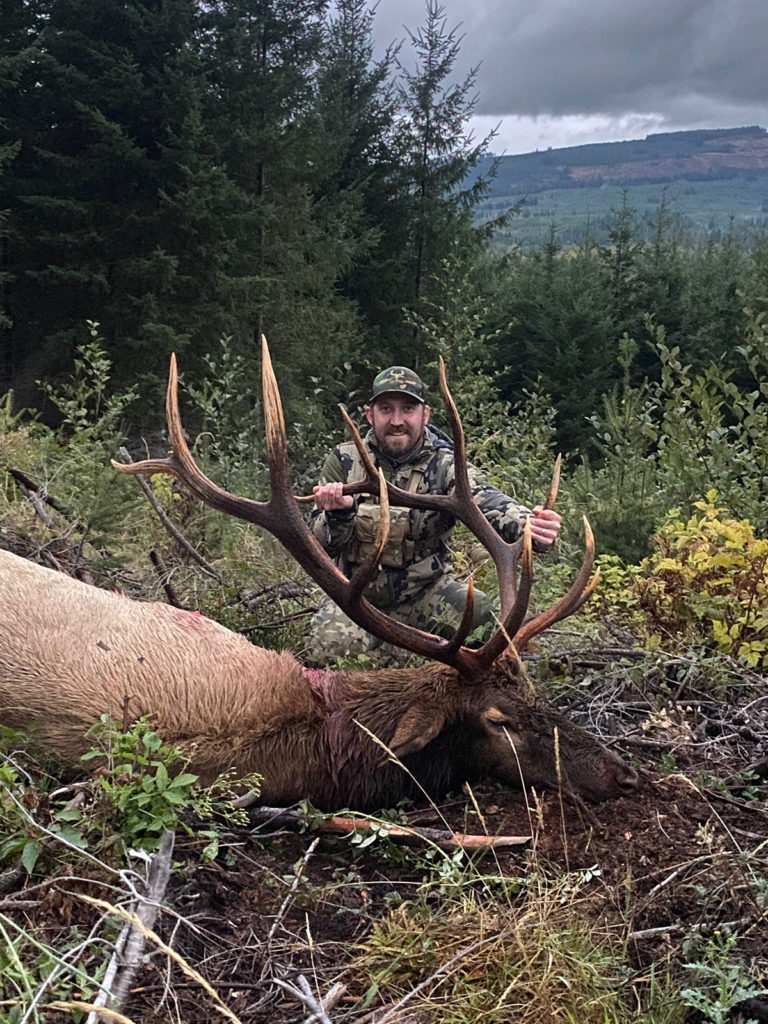 Elk 2020 Great Northwest Archery Puyallup WA